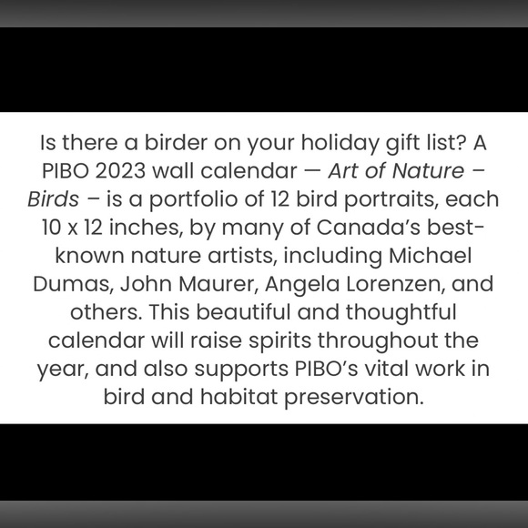 CALENDAR 2024 ART OF NATURE: Pelee Island Observatory Art Of Birds. - Picture 12 of 16